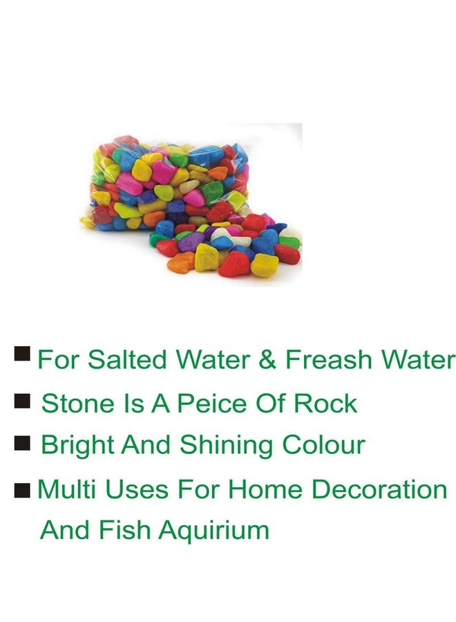 Somil Multicolor Pebbles/Stones for Garden, Plants, Lawns, Aquariums, Fish Pots, Home Decor, Vases, Furniture Filler. Size: 10-30mm, Shiny Multicolor -A545 - Image 2